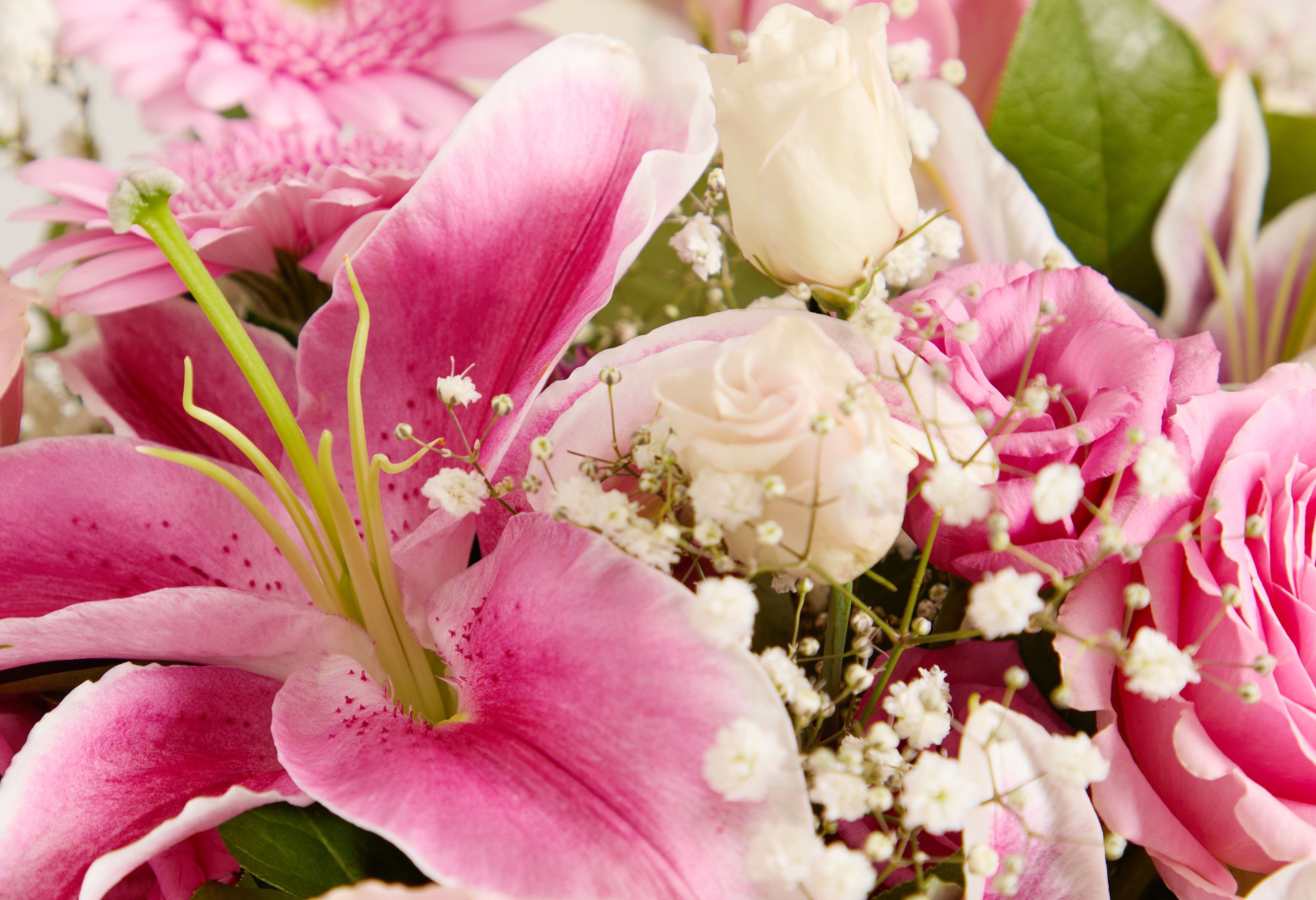 BANNER_Pink Perfection_detail.jpg