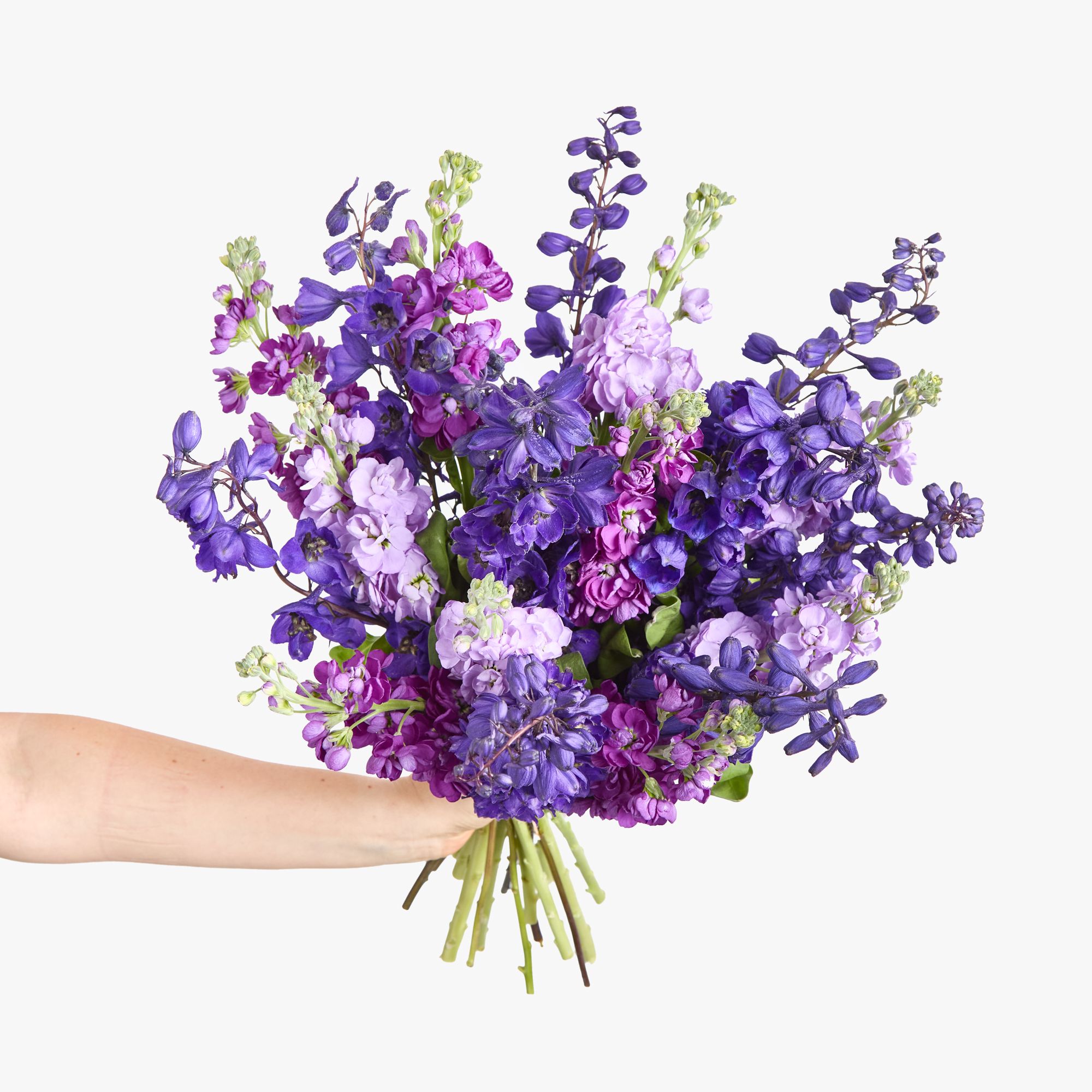 Purple delphiniums with purple and lilac stocks