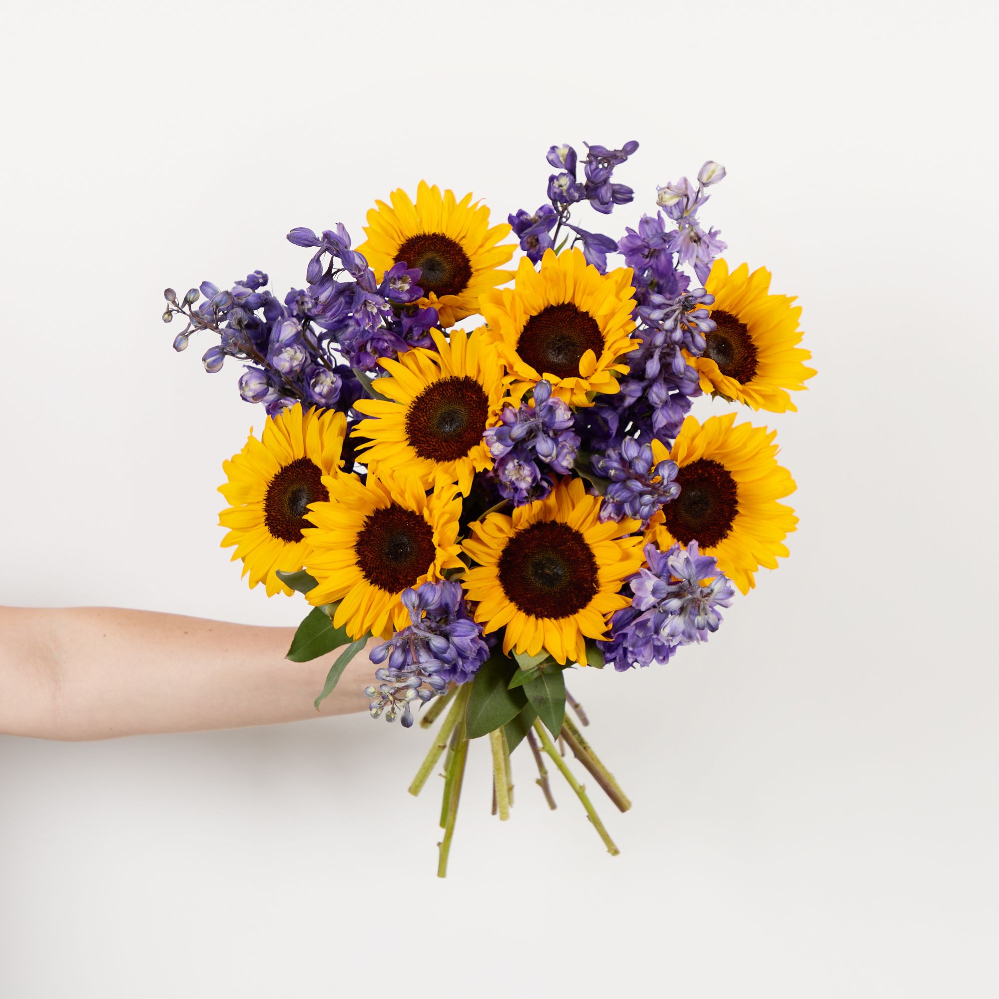 Sunflowers and delphiniums