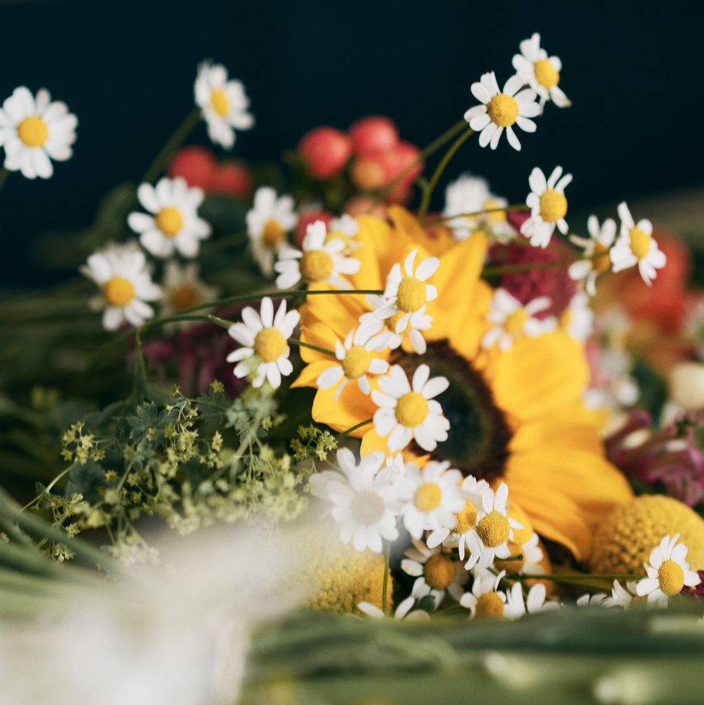 A close up of flowers lying on a table, including daisies and a sunflower