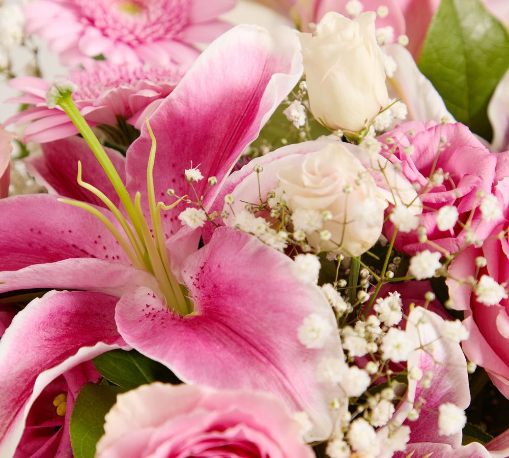 BANNER_Mobile_Pink Perfection_detail.jpg