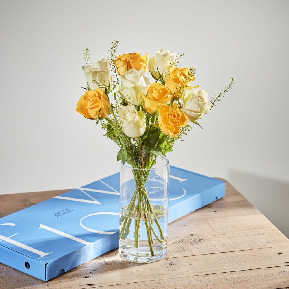 Looking for something specific?