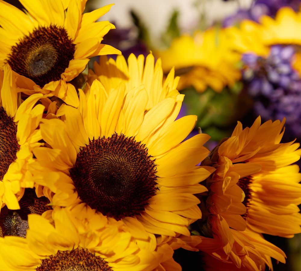 Mobile_Web_Banners 10.jpg
