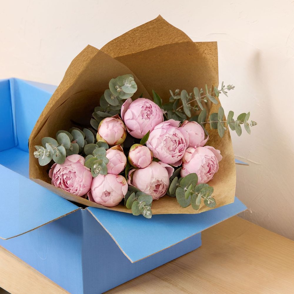 Pink peonies with eucalyptus cinerea