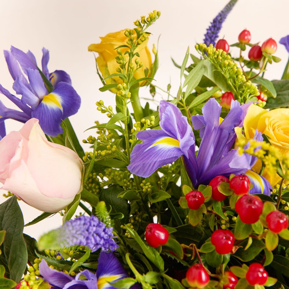 Flowers By Colour
